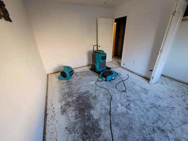 Best Water damage contractors near me  in St Paul, MO