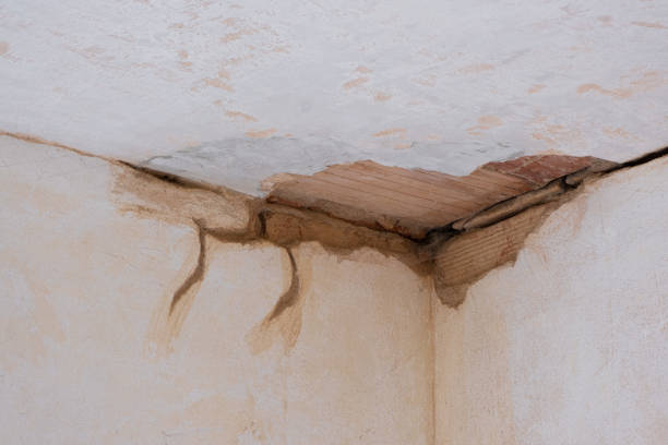 Best Flood damage cleanup  in St Paul, MO