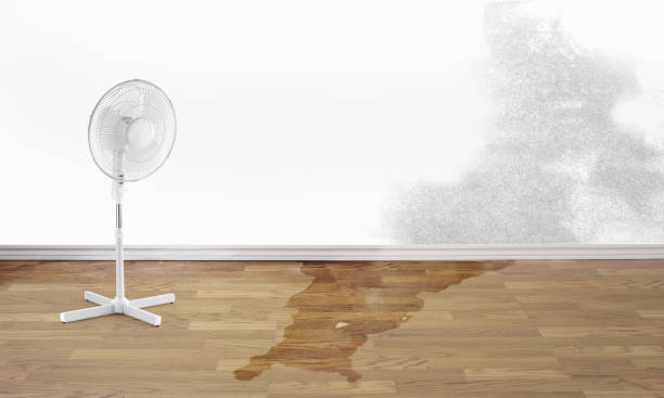 Best Emergency water damage restoration  in St Paul, MO