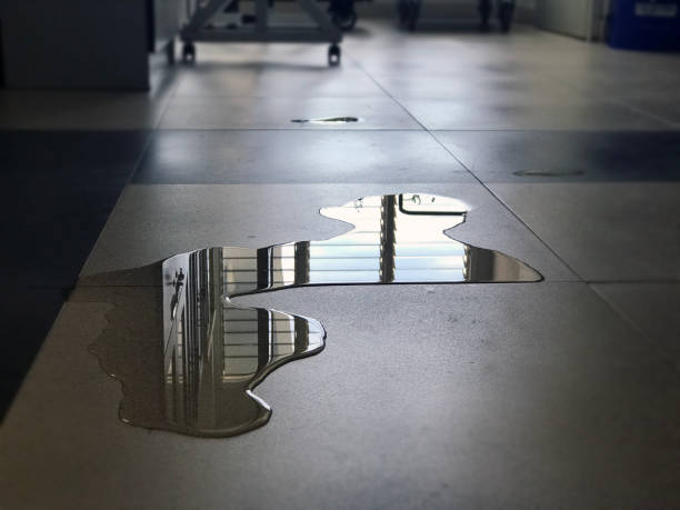 Sewage cleanup and water damage restoration in St Paul, MO