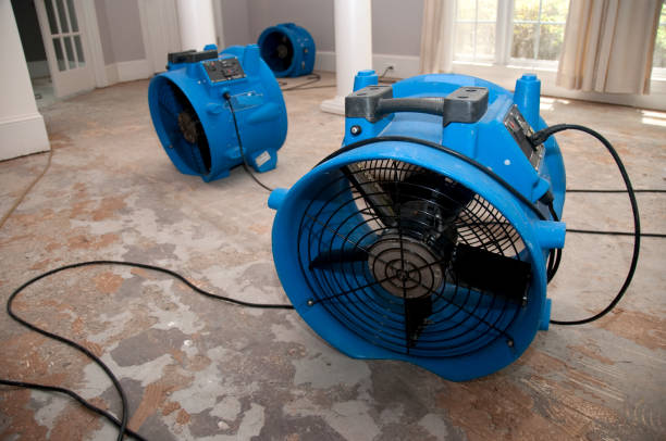  St Paul, MO Water damage restoration Pros