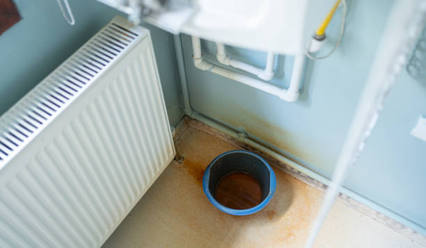 Best Water damage cleanup near me  in St Paul, MO