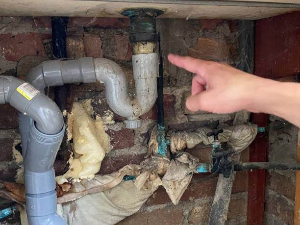 Best Basement water damage restoration  in St Paul, MO