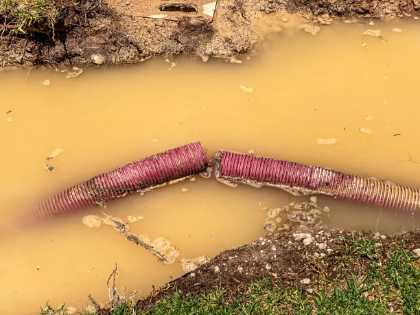Trusted St Paul, MO Water damage restoration Experts