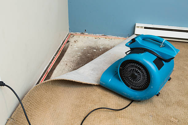 Water damage restoration insurance claims in St Paul, MO